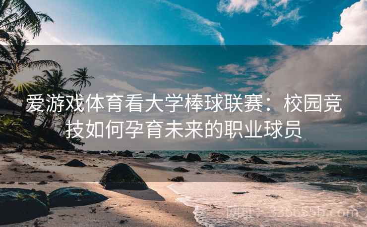 爱游戏体育看大学棒球联赛：校园竞技如何孕育未来的职业球员